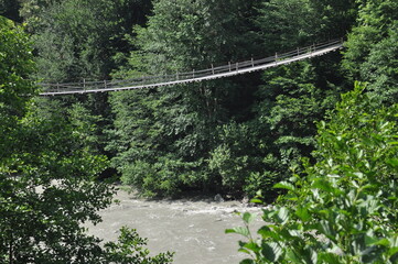 Suspended bridge over a rushing river surrounded by lush green trees in a serene forest setting