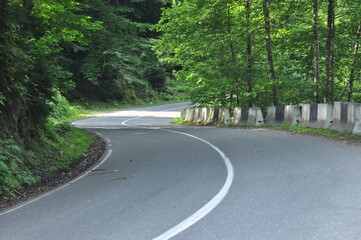 Curving road through lush green forest on a sunny day in the countryside