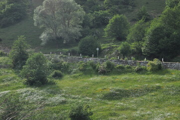 Scenic view of a lush green landscape with a stone wall and trees in a rural setting