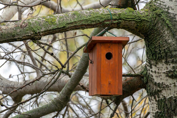 Birdhouse hanging on a tree branch surrounded by bare branches and moss in early spring