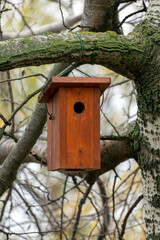 Birdhouse hanging on a tree branch in a peaceful backyard setting during autumn season