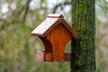 Birdhouse hanging from a tree in a serene forest setting during autumn