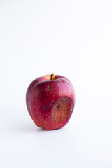 Red rotten apple on a white background. Image with copy space, vertical orientation, side view.