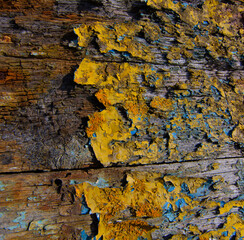 Vieilles peintures sur une épave de bateau
