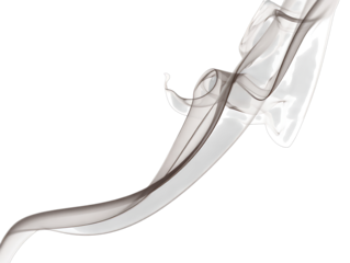 Elegant wisp of dark gray smoke curling upwards isolated on transparent background