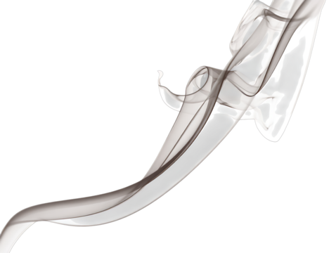 Elegant wisp of dark gray smoke curling upwards isolated on transparent background - Powered by Adobe