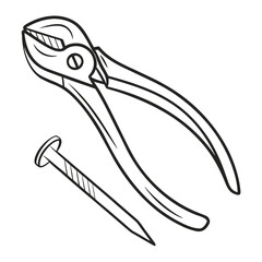 A flat vector icon of a fingernail bed, illustrating basic nail anatomy and dermatological structure.
