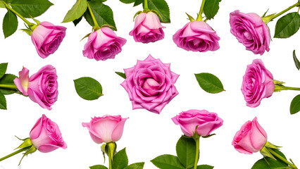 Fototapeta premium Background of pink roses and green leaves arranged horizontally and vertically on a transparent background.