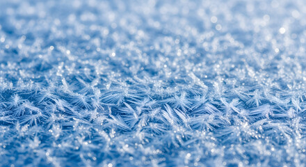 Obraz premium Frost Crystals close-up: A stunning macro shot revealing intricate ice crystals, with their delicate, geometric forms and sparkling texture in frosty environment. 