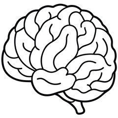 Naklejka premium A vector illustration of the brain's meninges, illustrating the protective layers surrounding the central nervous system.