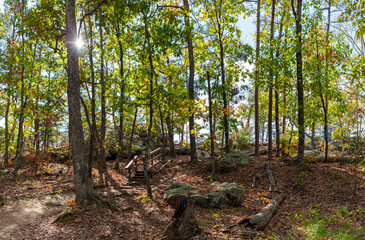 View along the Trail Through Time hiking path at the Pickle Springs Natural Area in New Offenburg, MO close to Hawn State Park