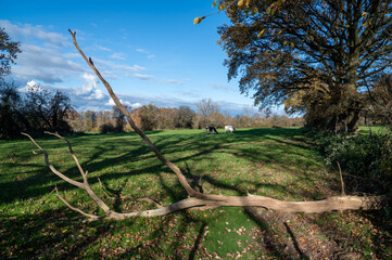 winter walking in sooting nature with memories from the past