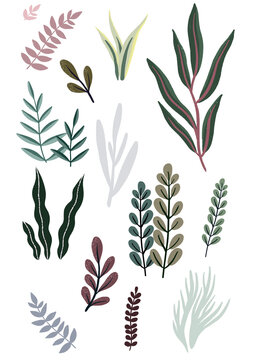 set of  JUNGLE LEAVES