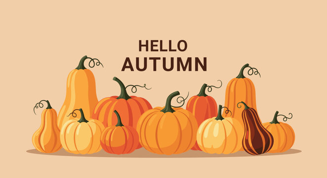 A vibrant illustration showcasing a variety of pumpkins and gourds in autumnal colors, accompanied by a 'HELLO AUTUMN' message. - Powered by Adobe