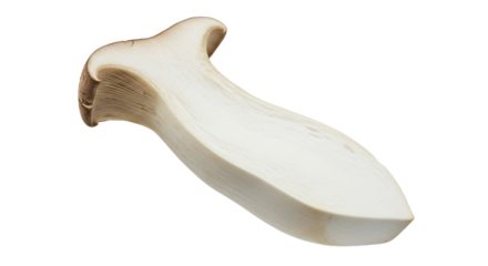 Elegantly isolated, sliced king oyster mushroom against a stark white backdrop emphasizing culinary versatility and nutritional benefits