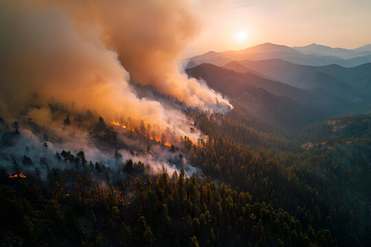 Dramatic aerial view of catastrophic wildfire during sunset over forested mountains