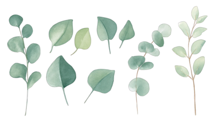 A collection of various green leaves arranged in different shapes and sizes, showcasing their natural textures and colors.