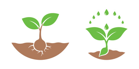 Plant Image. Growing, Organic, Farming, Sowing, Nature
