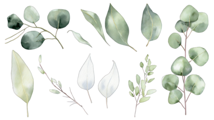 A collection of various green leaves showcasing different shapes and sizes, ideal for decorative and botanical themes.