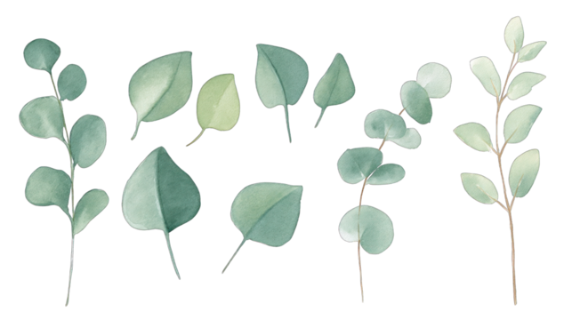 A collection of various green leaves arranged in different shapes and sizes, showcasing their natural textures and colors.