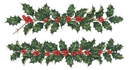 Two decorative horizontal borders of realistic holly branches with green spiky leaves and bright red berries, isolated on transparent background