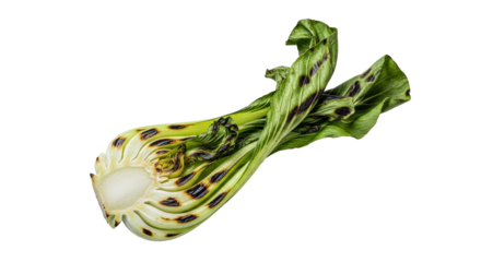 Striking halved bok choy showcasing its textured layers and appetizing grill marks against a pristine white backdrop