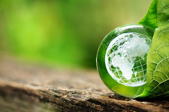 A glass globe wrapped in green leaves on natural background. - Powered by Adobe