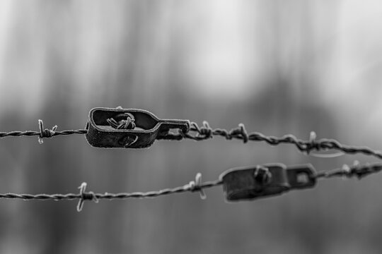 barbed wire in frost in winter