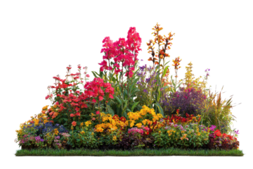 Vibrant flowerbed with pink red yellow purple orange blooms and green grass garden flowers, Isolated On Transparent Background, Png Cut Out