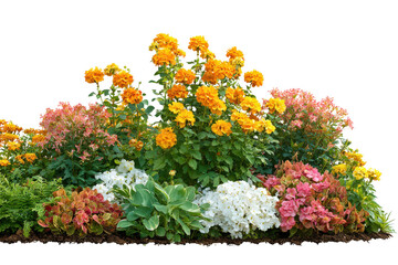 Vibrant garden bed with orange yellow pink and white flowers and green foliage floral nature, Isolated On Transparent Background, Png Cut Out