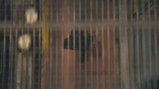 Female Maintenance Worker Seen From Above Through Industrial Floor Grid
