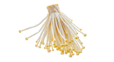Delicate strands of enoki mushrooms with glistening droplets on a pure white backdrop, highlighting their freshness and subtle elegance