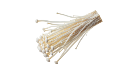 Delicate Enoki Mushrooms: A Close-Up of Thin, White Fungi Isolated on a Crisp White Backdrop ready for culinary use