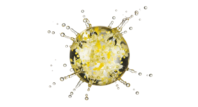 Floral sphere bursting with freshness, a delicate explosion of water and botanical essence captured in a dynamic visual