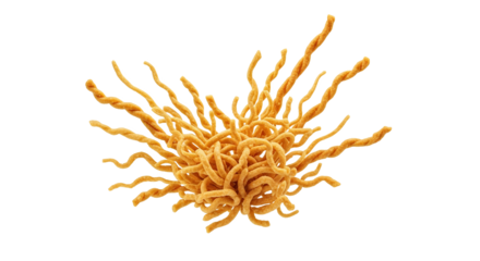 Golden wheat strands, a culinary artwork, arranged in a burst of flavor and textural delight against a pristine white canvas capturing the essence