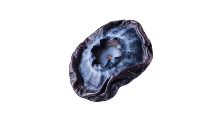Macro close-up reveals the intricate texture and delicate details of a solitary dried blueberry against a clean white backdrop captivating the eye