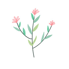 pink flower illustration