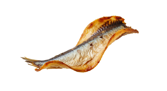 Smoked Herring Fillet on White Background Depicting Culinary Preservation and Flavor Profile