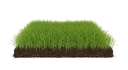 Lush green grass patch with soil and roots perfect for landscaping and gardening design elements and projects on transparent background