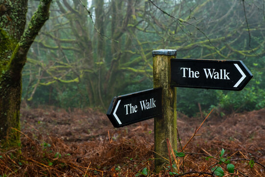 Country walks and public footpath image. A signpost marked as the walk on a  public footpath in a woodland, forest. Rural countryside and exercise.
