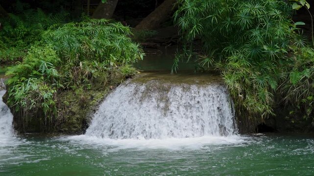 small waterfall in the forest