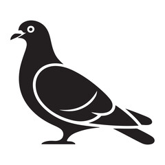 Pigeon Vector 