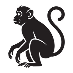 Monkey Vector 
