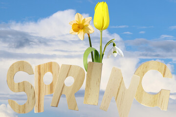 Spring Message With Wooden Letters
daffodil
snowdrop
Snowdrop beside wooden letters under bright blue sky
