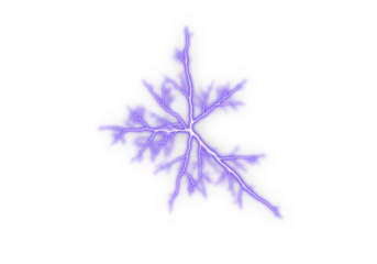Vibrant purple lightning fractal forms an energetic abstract shape. Soft glowing branches create a striking electric visual. Ideal for digital art, backgrounds, and modern design projects.