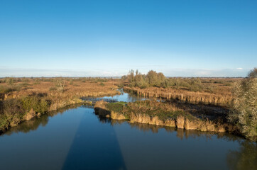 Panoramic view from Roerdump observation tower over Oostvaardersplassen national park on a winter morning, Netherlands
