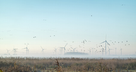 Sunrise over Oostvaardersplassen national park on a bright winter morning, with windturbines and power lines in the background, Flevoland,  Netherlands