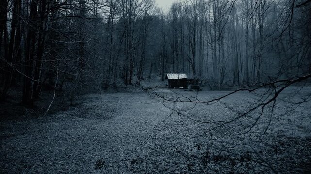 Abandoned haunted farm house in the misty forest