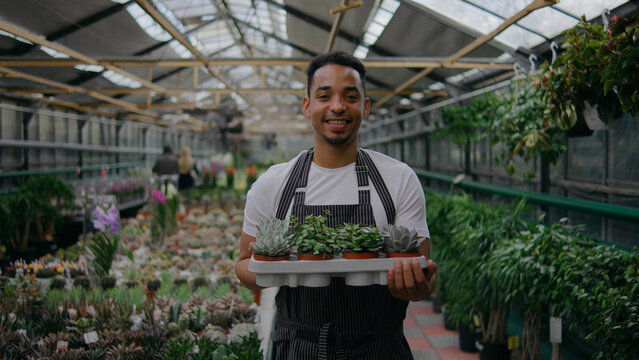 Smiling man holds trays of small plants in a greenhouse filled with greenery and colorful flowers during daylight hours - Powered by Adobe