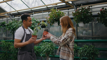Customer selects potted plants with help from store employee in a greenhouse during a sunny afternoon
